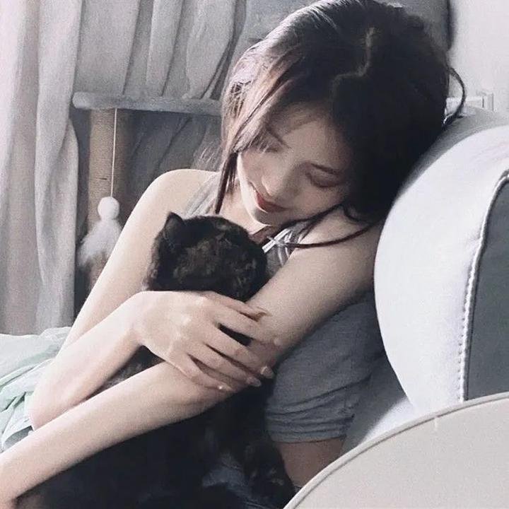 寻找艾米丽